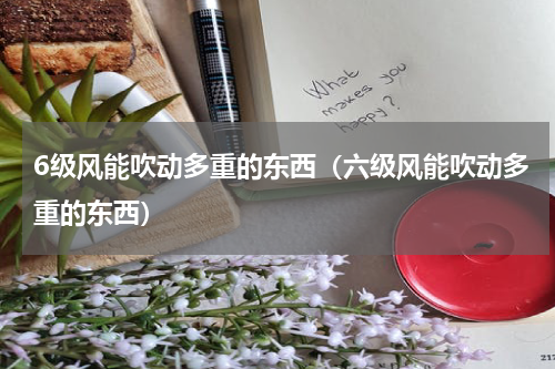 6级风能吹动多重的东西（六级风能吹动多重的东西）