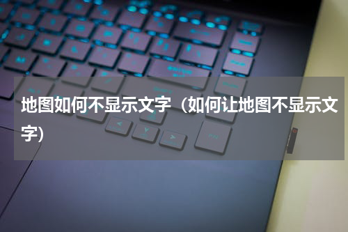 地图如何不显示文字（如何让地图不显示文字）