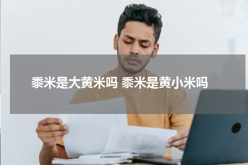 黍米是大黄米吗 黍米是黄小米吗