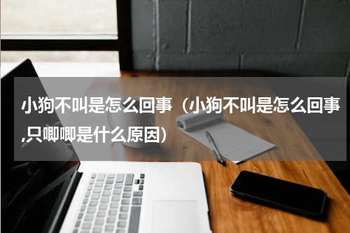 小狗不叫是怎么回事（小狗不叫是怎么回事,只唧唧是什么原因）
