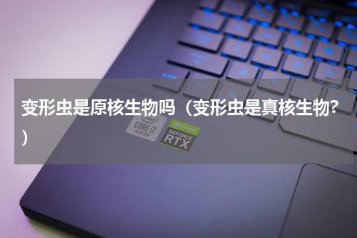变形虫是原核生物吗（变形虫是真核生物?）