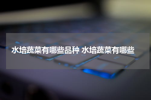 水培蔬菜有哪些品种 水培蔬菜有哪些