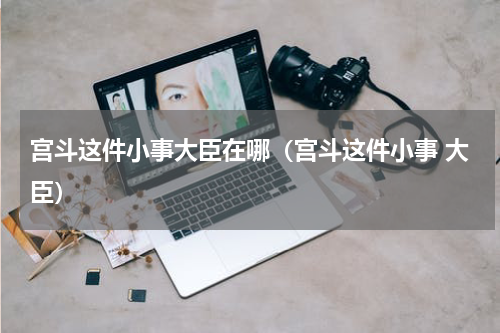 宫斗这件小事大臣在哪（宫斗这件小事 大臣）