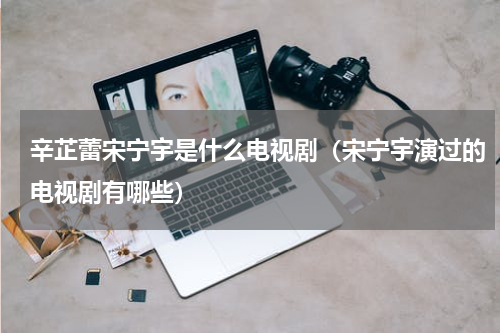 辛芷蕾宋宁宇是什么电视剧（宋宁宇演过的电视剧有哪些）