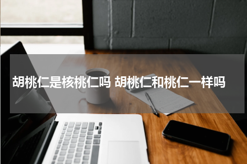 胡桃仁是核桃仁吗 胡桃仁和桃仁一样吗