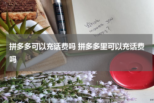 拼多多可以充话费吗 拼多多里可以充话费吗