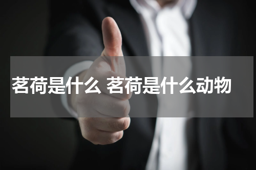 茗荷是什么 茗荷是什么动物