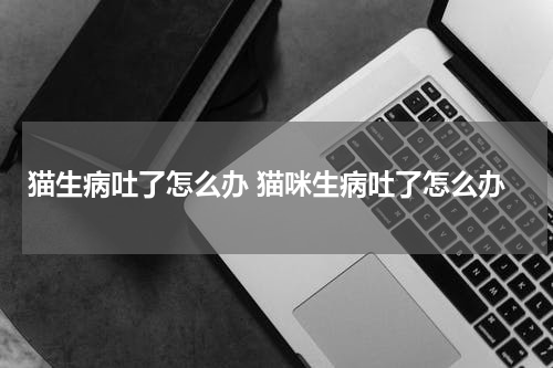 猫生病吐了怎么办 猫咪生病吐了怎么办