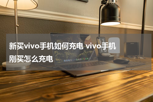 新买vivo手机如何充电 vivo手机刚买怎么充电