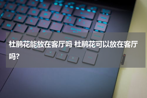 杜鹃花能放在客厅吗 杜鹃花可以放在客厅吗?