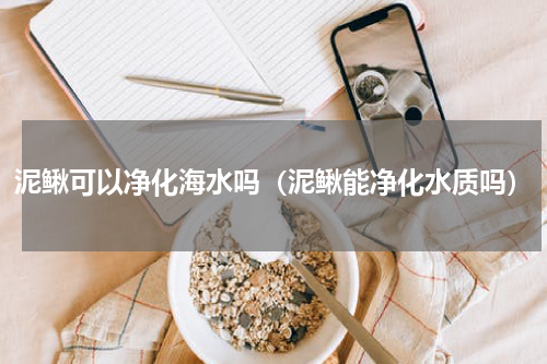 泥鳅可以净化海水吗（泥鳅能净化水质吗）