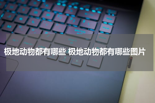 极地动物都有哪些 极地动物都有哪些图片