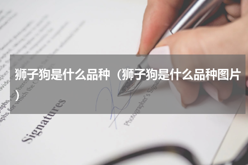 狮子狗是什么品种（狮子狗是什么品种图片）