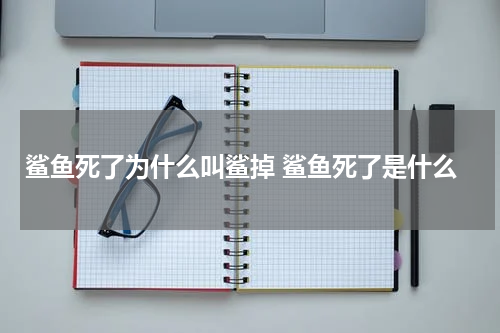 鲨鱼死了为什么叫鲨掉 鲨鱼死了是什么