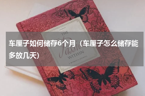 车厘子如何储存6个月（车厘子怎么储存能多放几天）