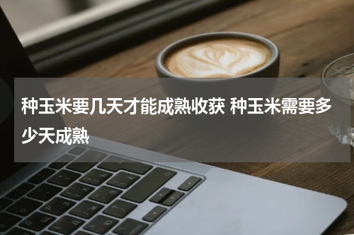 种玉米要几天才能成熟收获 种玉米需要多少天成熟