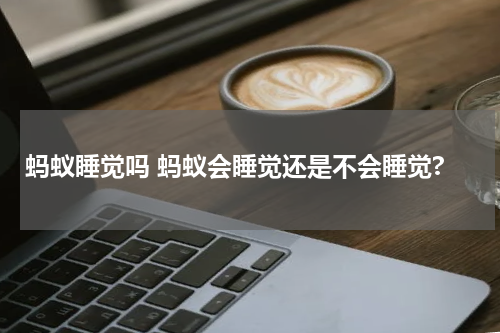 蚂蚁睡觉吗 蚂蚁会睡觉还是不会睡觉?