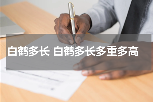 白鹤多长 白鹤多长多重多高