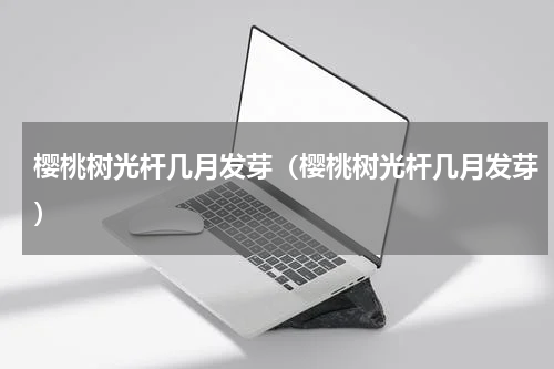 樱桃树光杆几月发芽（樱桃树光杆几月发芽）