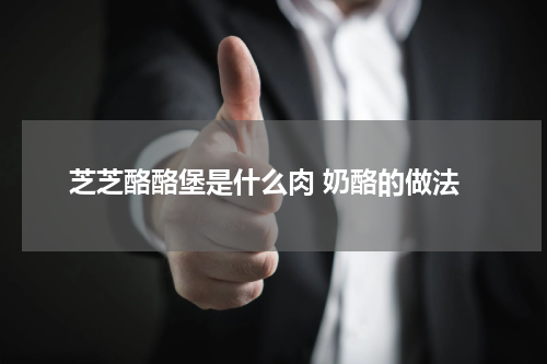 芝芝酪酪堡是什么肉 奶酪的做法