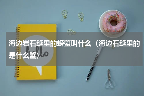 海边岩石缝里的螃蟹叫什么（海边石缝里的是什么蟹）