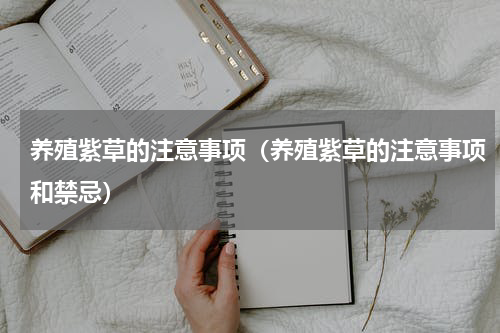 养殖紫草的注意事项（养殖紫草的注意事项和禁忌）