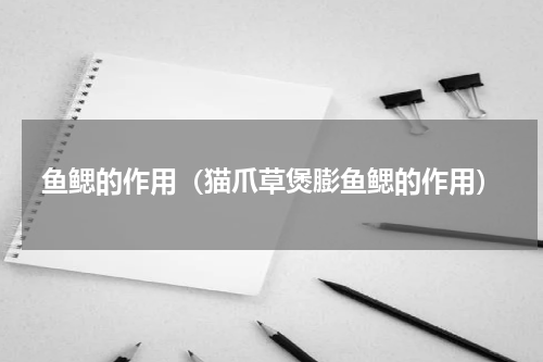 鱼鳃的作用（猫爪草煲膨鱼鳃的作用）