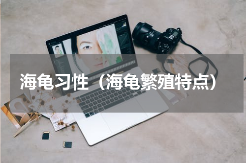 海龟习性（海龟繁殖特点）