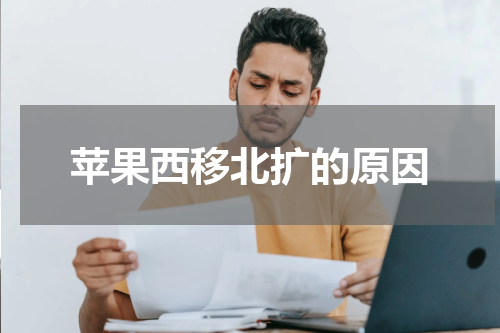苹果西移北扩的原因