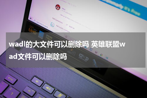 wadl的大文件可以删除吗 英雄联盟wad文件可以删除吗