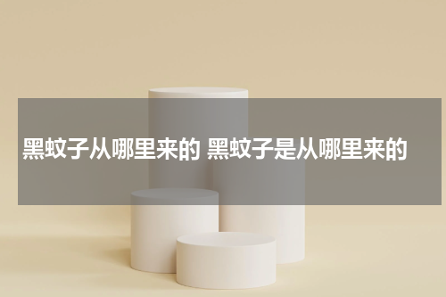 黑蚊子从哪里来的 黑蚊子是从哪里来的