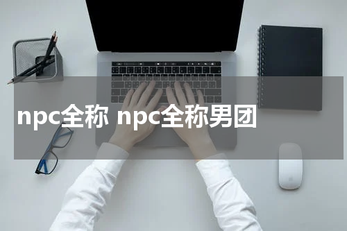 npc全称 npc全称男团