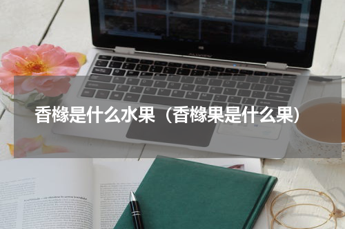 香橼是什么水果（香橼果是什么果）