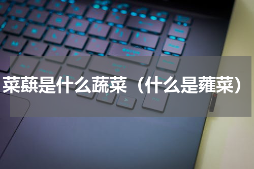 菜蕻是什么蔬菜（什么是蕹菜）