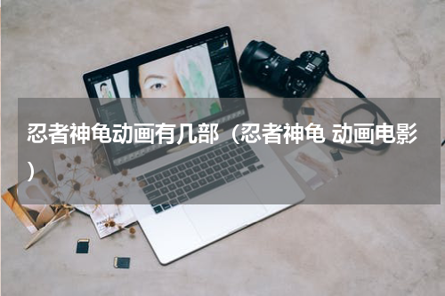 忍者神龟动画有几部（忍者神龟 动画电影）