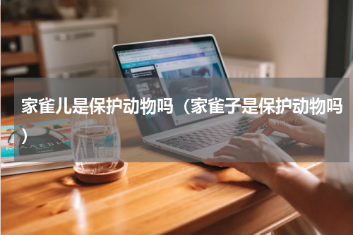 家雀儿是保护动物吗（家雀子是保护动物吗）