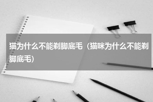 猫为什么不能剃脚底毛（猫咪为什么不能剃脚底毛）