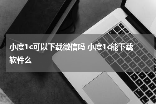 小度1c可以下载微信吗 小度1c能下载软件么