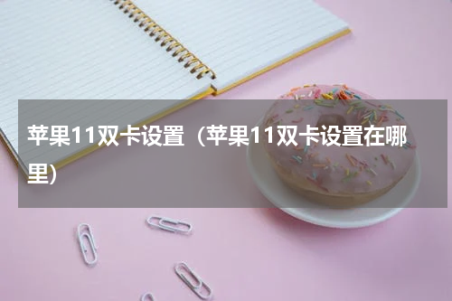 苹果11双卡设置（苹果11双卡设置在哪里）