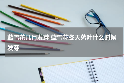 蓝雪花几月发芽 蓝雪花冬天落叶什么时候发芽