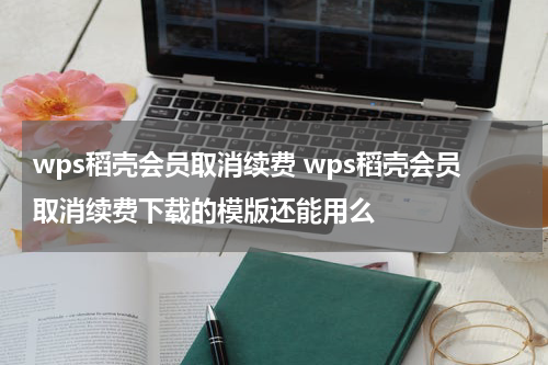 wps稻壳会员取消续费 wps稻壳会员取消续费下载的模版还能用么