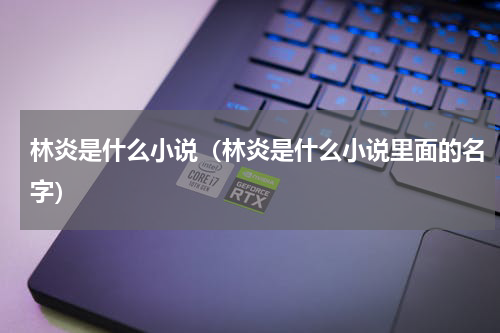 林炎是什么小说（林炎是什么小说里面的名字）