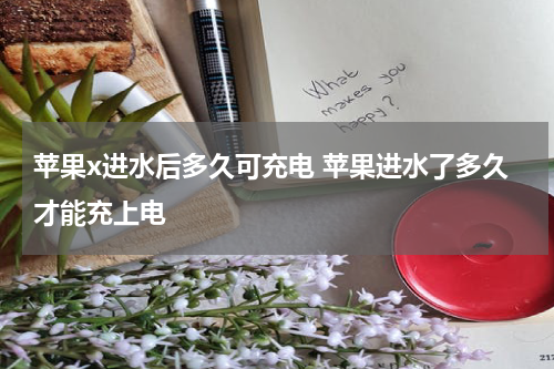 苹果x进水后多久可充电 苹果进水了多久才能充上电