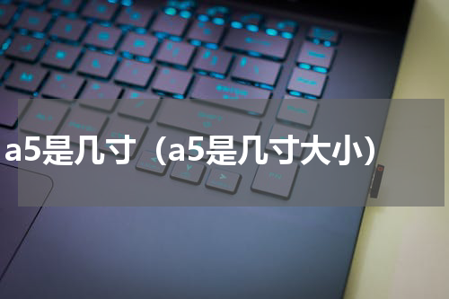 a5是几寸（a5是几寸大小）