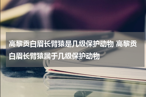 高黎贡白眉长臂猿是几级保护动物 高黎贡白眉长臂猿属于几级保护动物