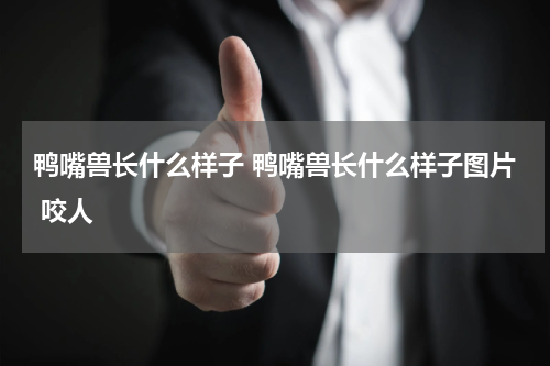 鸭嘴兽长什么样子 鸭嘴兽长什么样子图片 咬人
