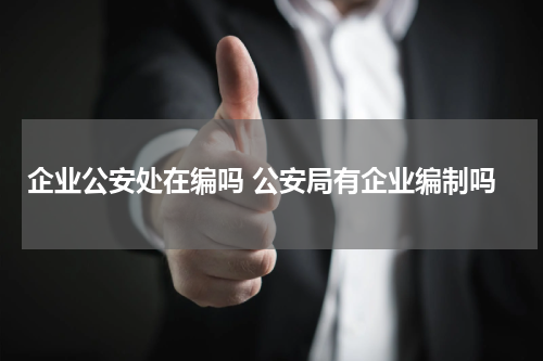 企业公安处在编吗 公安局有企业编制吗