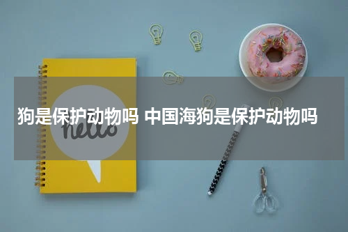 狗是保护动物吗 中国海狗是保护动物吗