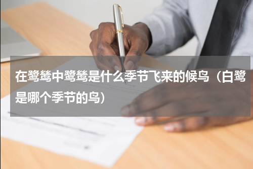 在鹭鸶中鹭鸶是什么季节飞来的候鸟（白鹭是哪个季节的鸟）