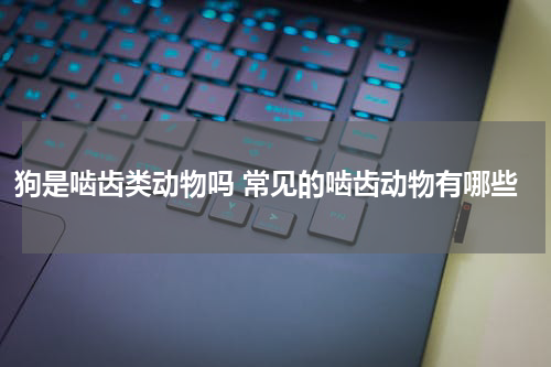 狗是啮齿类动物吗 常见的啮齿动物有哪些